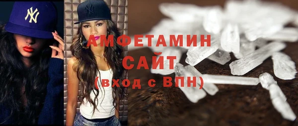 шишки Наволоки