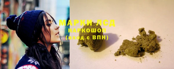 шишки Наволоки