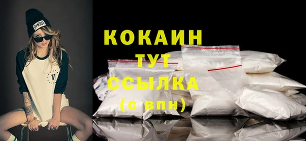 шишки Наволоки