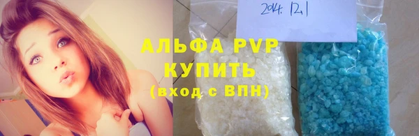 молекула духа Билибино