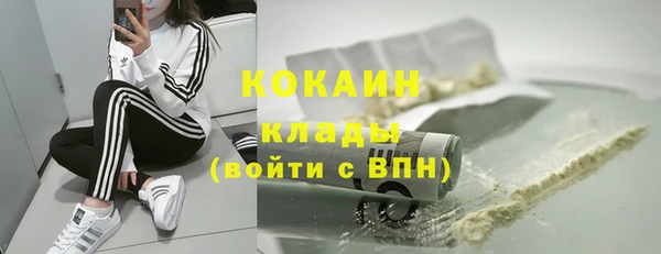шишки Наволоки