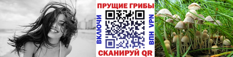 Галлюциногенные грибы Cubensis где купить наркоту Рославль
